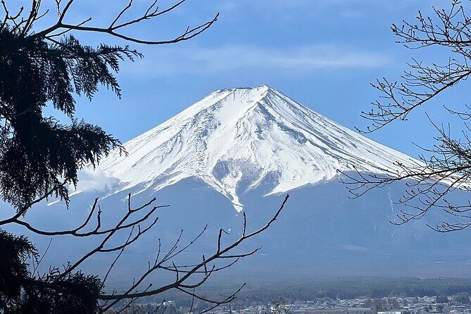 1-day-tour-mt-fuji-lake-kawaguchiko-english-speaking-driver-guide6