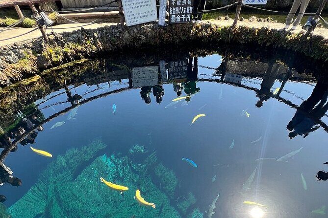 1-day-tour-mt-fuji-lake-kawaguchiko-english-speaking-driver-guide7