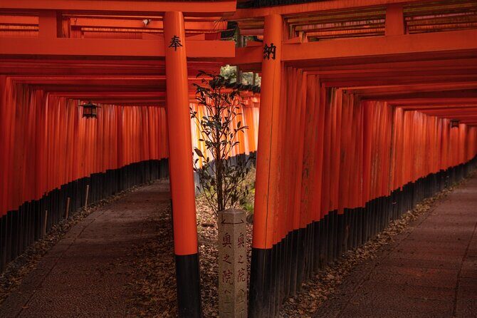 10-must-see-spots-in-kyoto-one-day-private-tour6
