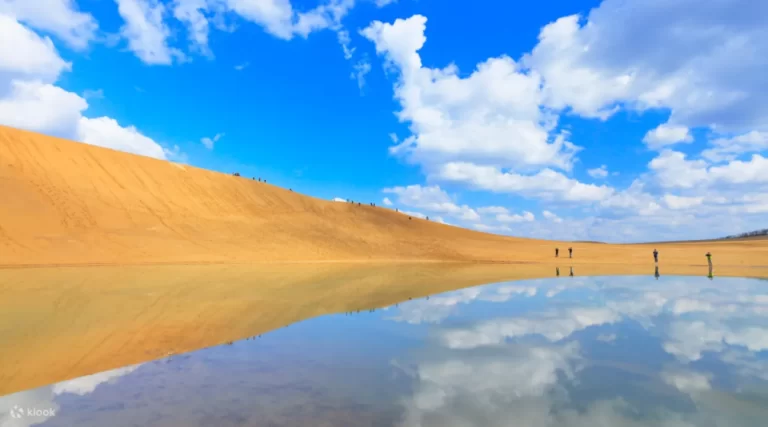 Uratomi Coast Cruise, Tottori Sand Dunes & Sand Museum Day Tour From Osaka