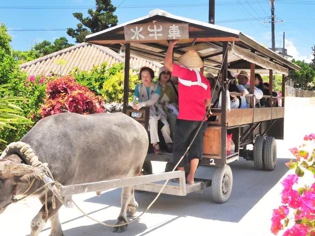 Taketomi Island Trip From Ishigaki Island in Okinawa - Package Options