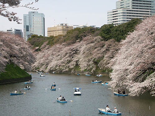 konica-minolta-digital-camera-15