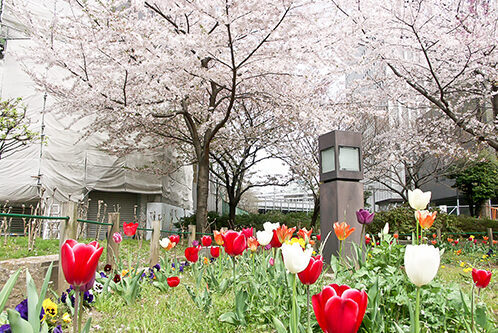 konica-minolta-digital-camera-35