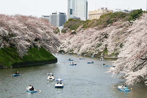 konica-minolta-digital-camera-139