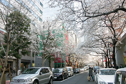 konica-minolta-digital-camera-52