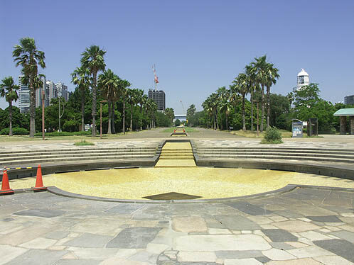 konica-minolta-digital-camera-132