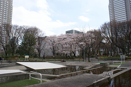 Shinjuku Central Park Water Playground