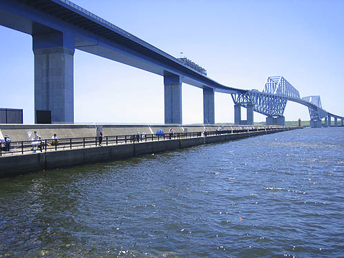 Wakasu Seaside Park Fishing Area