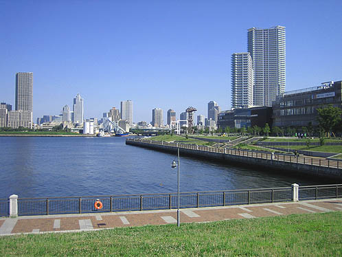 Toyosu Park Fishing Area