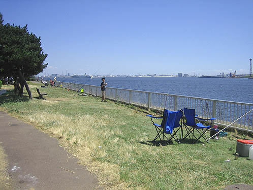 Akatsuki Terminal Park Fishing Spot
