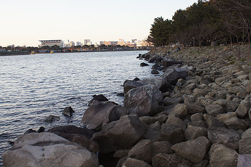 Oi Futo Central Seaside Park Fishing Area