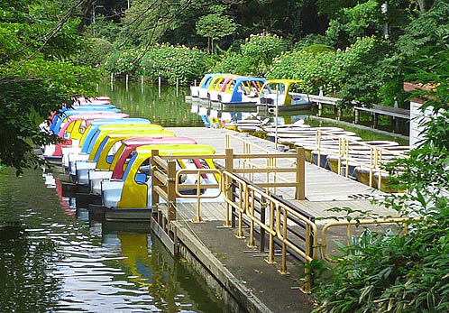 Zenpukuji Park Boat Ramp