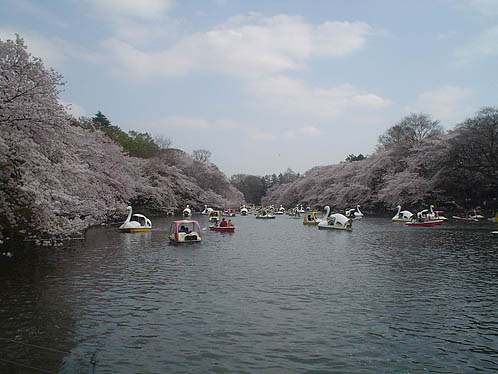 Inokashira Park