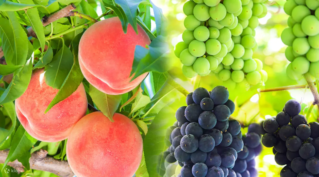 Gunma Sightseeing and Gourmet Trip From Tokyo - Discovering Historical Landmarks