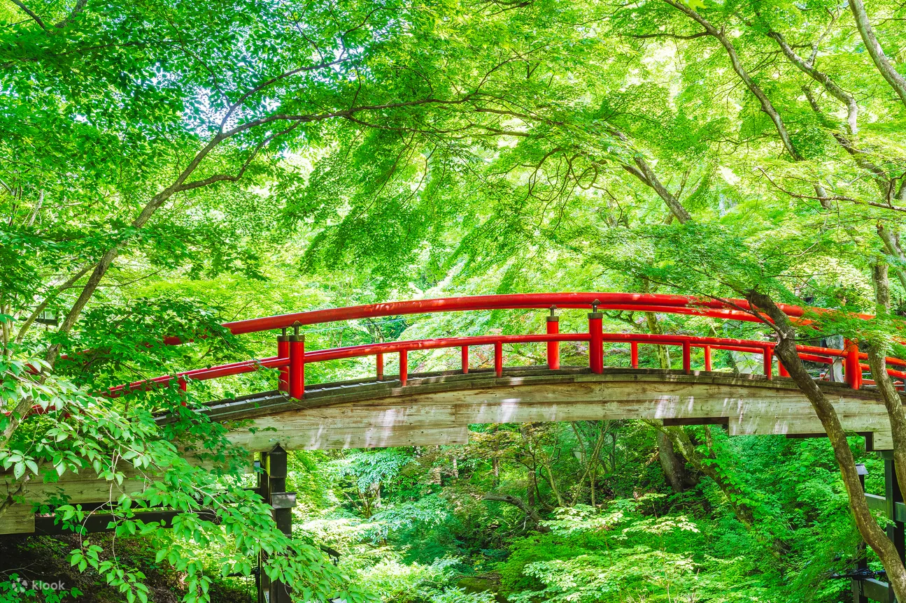 Gunma Sightseeing and Gourmet Trip From Tokyo - Language and Group Size