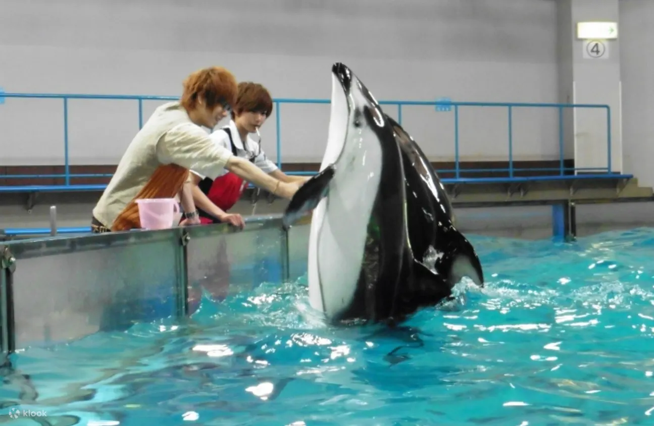 Noboribetsu Marine Park NIXE Admission Ticket - Ticket Pricing and Options