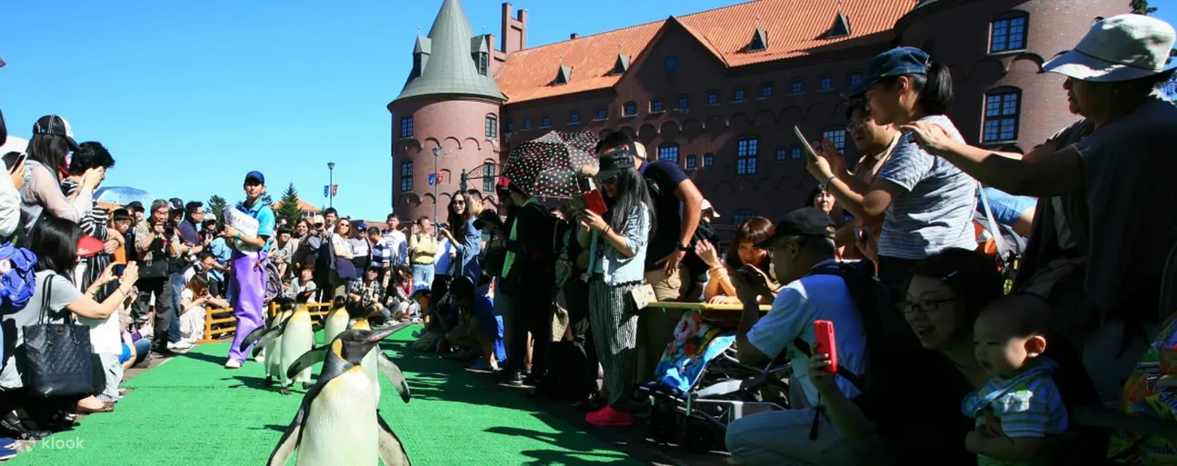 Noboribetsu Marine Park NIXE Admission Ticket - Booking and Reservation Information