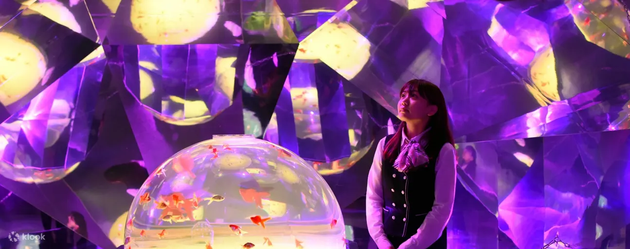 Noboribetsu Marine Park NIXE Admission Ticket - Sea Lions and Fur Seal Performances