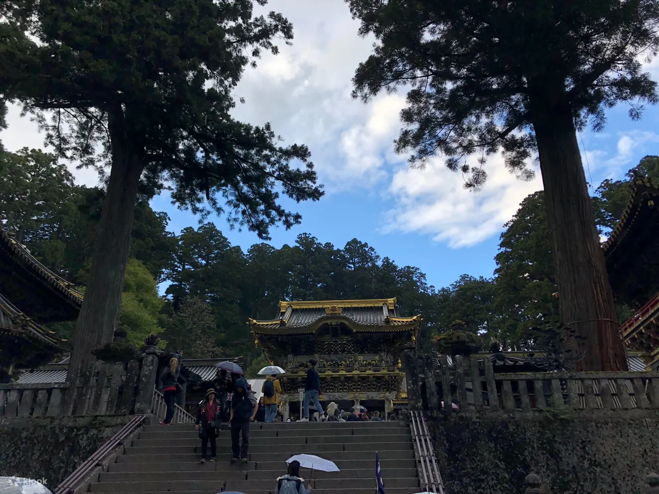 Nikko Day Tour From Tokyo - Exploring the Natural Wonders of Nikko