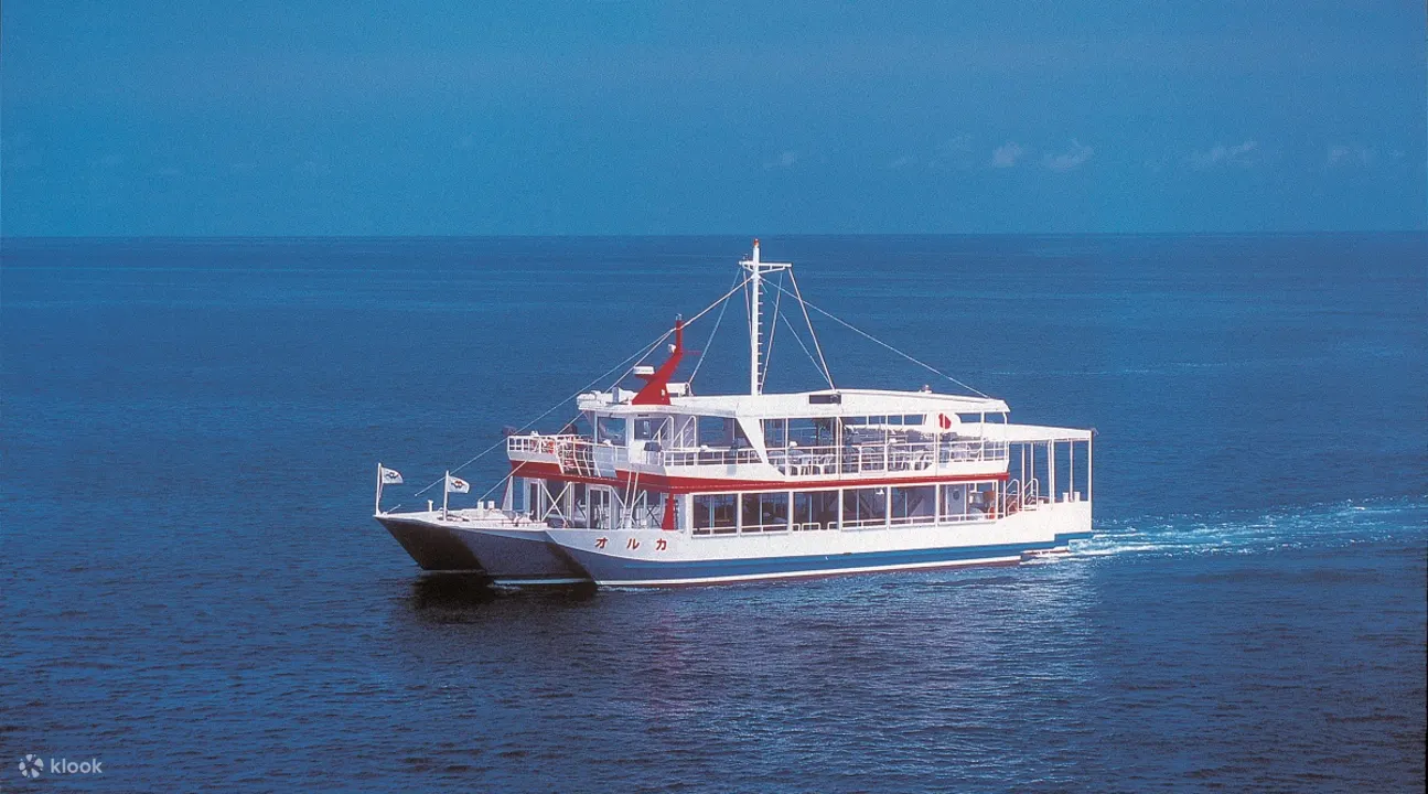 Glass Bottom Boat Tour in Okinawa - Underwater Views and Marine Life on the Boat Tour