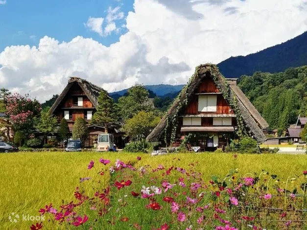 Takayama and Shirakawa-Go Day Tour From Nagoya