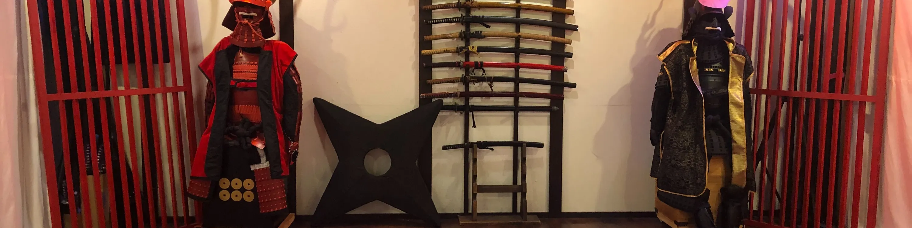 Ninja Workshop and Costume Rental Experience in Osaka - Uncover the Mysteries of the Ninja World in Osaka