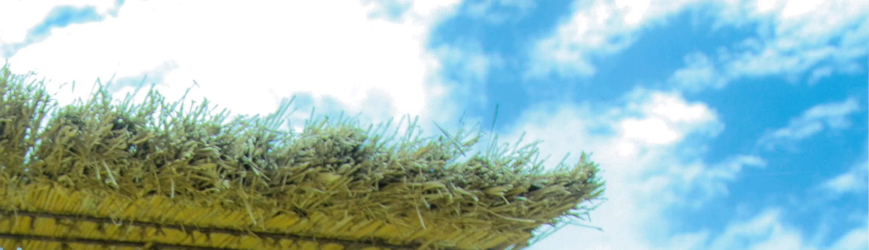 Bios Hill Gardens Entry Ticket Ishikawa City, Okinawa - Wildlife Spotting Opportunities