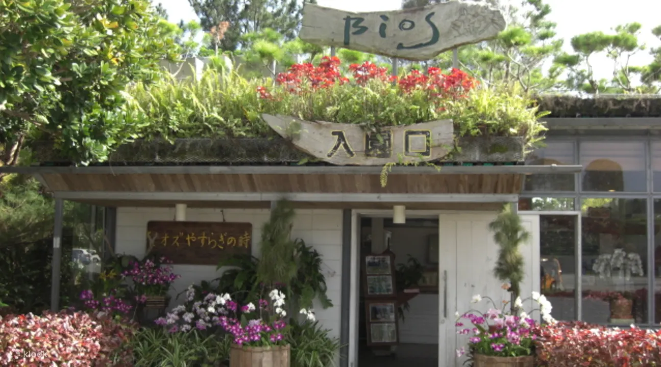 Bios Hill Gardens Entry Ticket Ishikawa City, Okinawa - History of Bios Hill Gardens