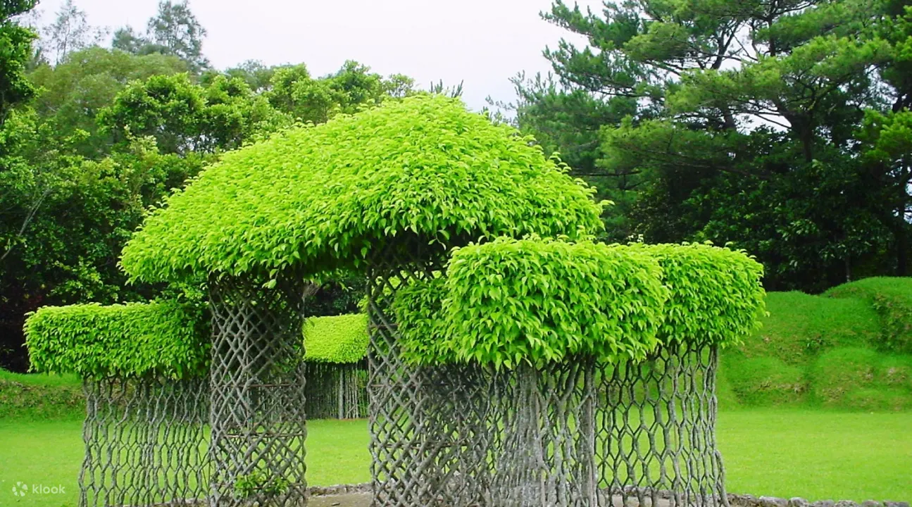 Bios Hill Gardens Entry Ticket Ishikawa City, Okinawa - Exploring the Parks Nature Trails