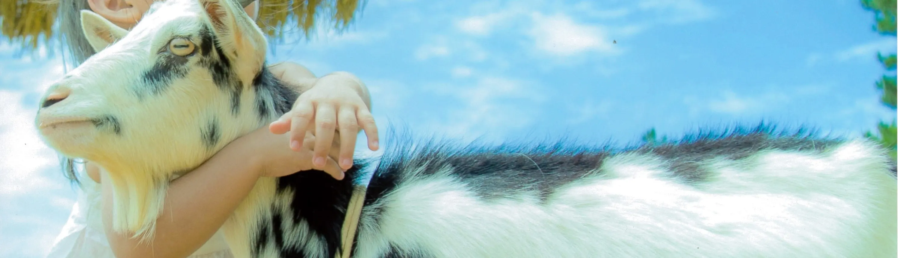 Bios Hill Gardens Entry Ticket Ishikawa City, Okinawa - Frequently Asked Questions