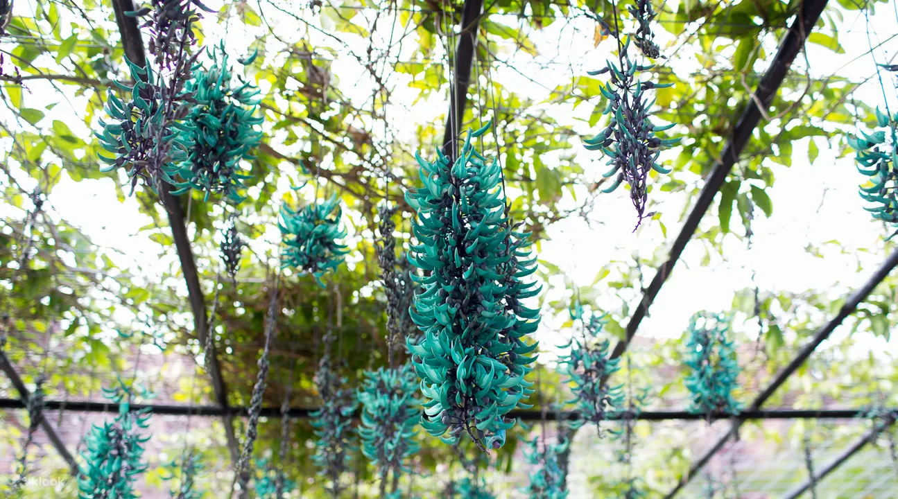 Neo Park Okinawa Ticket - Frequently Asked Questions