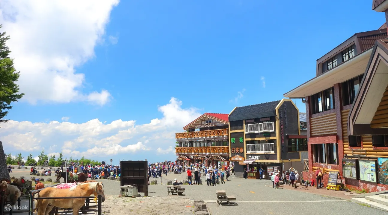 Mt. Fuji Flower Festival Tour With Ropeway Experience From Tokyo - Additional Information