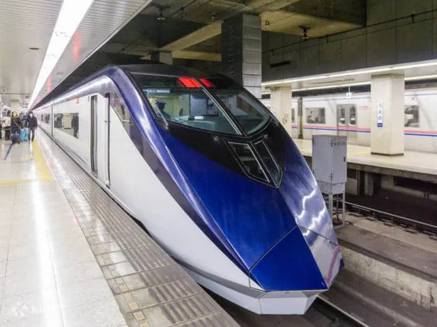 Skyliner Narita Airport Express With Tokyo Subway Ticket - Benefits and Features