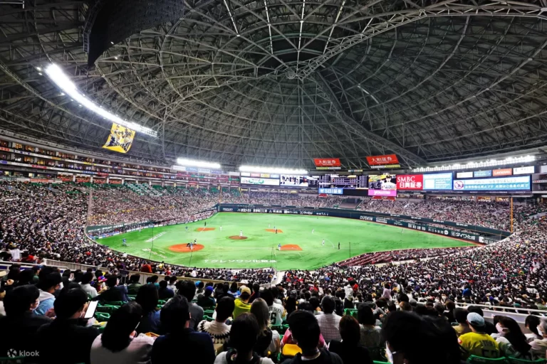 Fukuoka SoftBank HAWKS Baseball Game Ticket