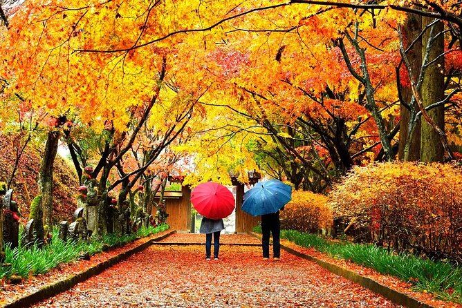 1 Hour Private Photoshoot in Tokyo - Meeting Point and End Point