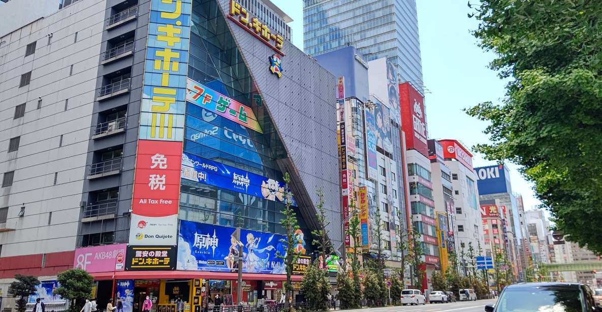 Akihabara: Anime and Electronics Guided Tour - Activity Details and Options