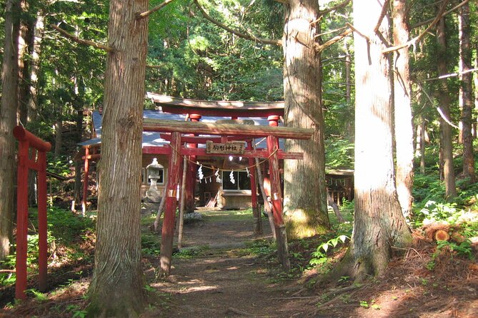 All Must-Sees Tono Private Tour With Government-Licensed Guide - Tour Details