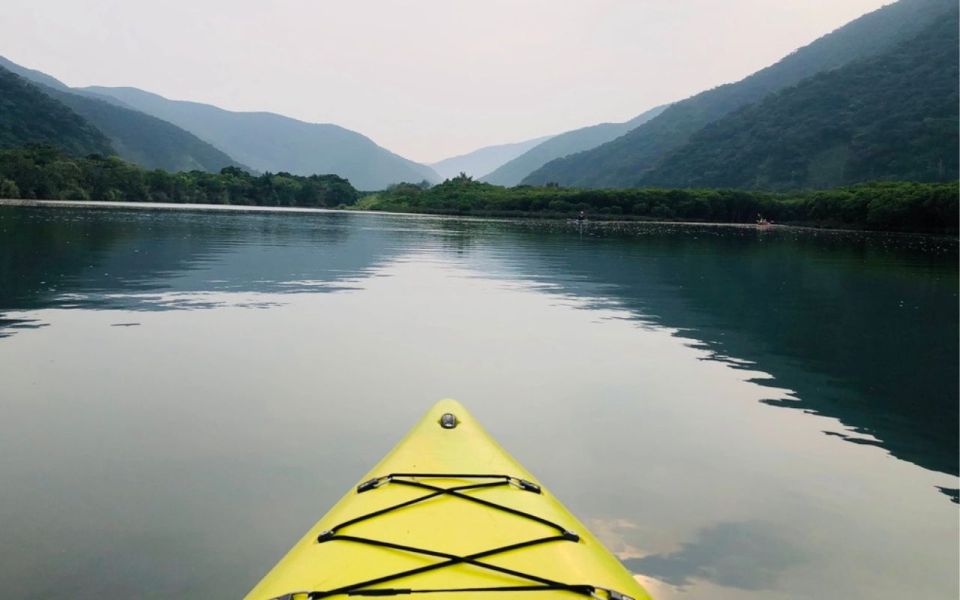 Amami: 朝のマングローブカヤックツアー - Activity Details and Logistics