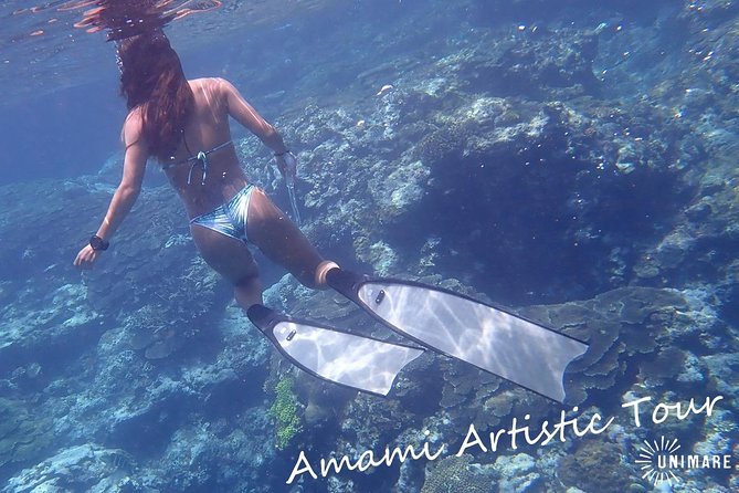 Amami Oshima Skin Diving Photo & Movie Tour! - Equipment and Safety Preparations