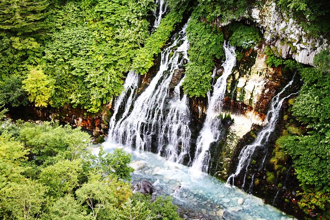 [Biei/Furano] One-Day Sightseeing by Private Car! - Must-See Attractions in Biei/Furano