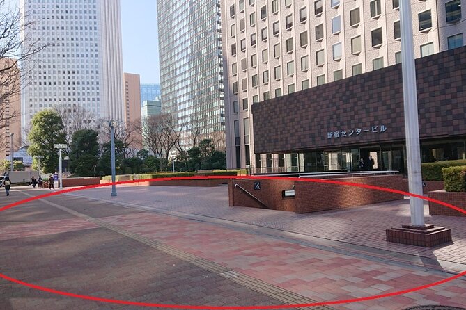 Cherry Blossom ! Five-Story Pagoda,Mt. Fuji 5th Station,Panoramic Ropeway - Tour Details