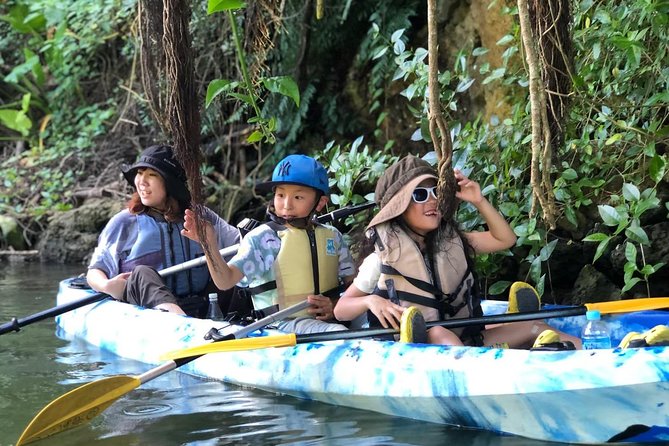 Enjoy Nature! Mangrove Kayak Tour! - Meeting Point and Directions