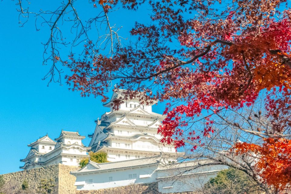 From Osaka: Himeji Castle, Arima Onsen, & Mt. Rokko Day Trip - Activity Details