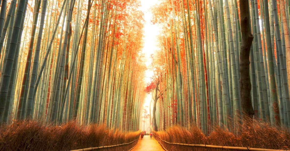 From Osaka: Kyoto Top Highlights Day Trip - Activity and Booking Details