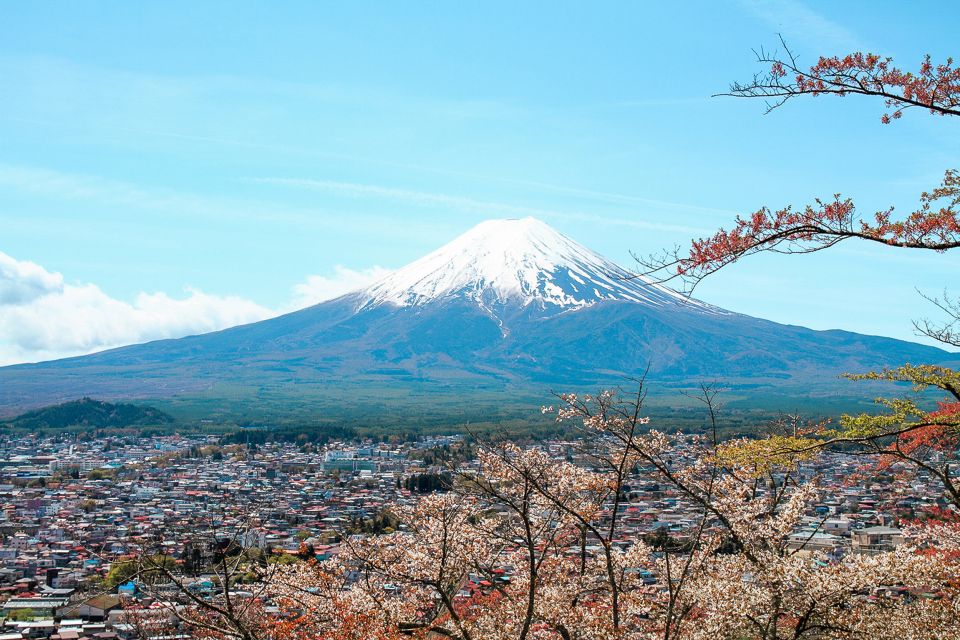 From Tokyo: Mt. Fuji Full-Day Sightseeing Trip - Booking Details