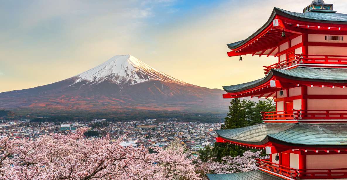 From Tokyo: Mt. Fuji or Hakone Private Sightseeing Day Trip - Activity Details