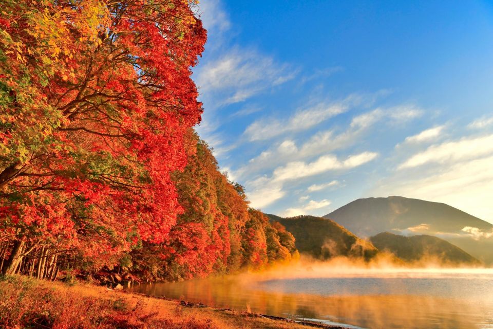 From Tokyo: Private Cultural Day Trip to Nikko UNESCO Sites - Activity Details