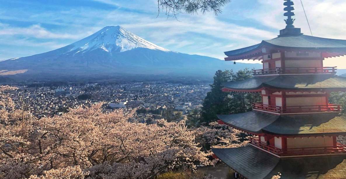 From Tokyo: Private Trip to Mount Fuji and Lake Kawaguchi - Ticket Details