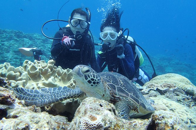 Full Day "Experience Diving" Trip at Kerama Islands - Start and End Time
