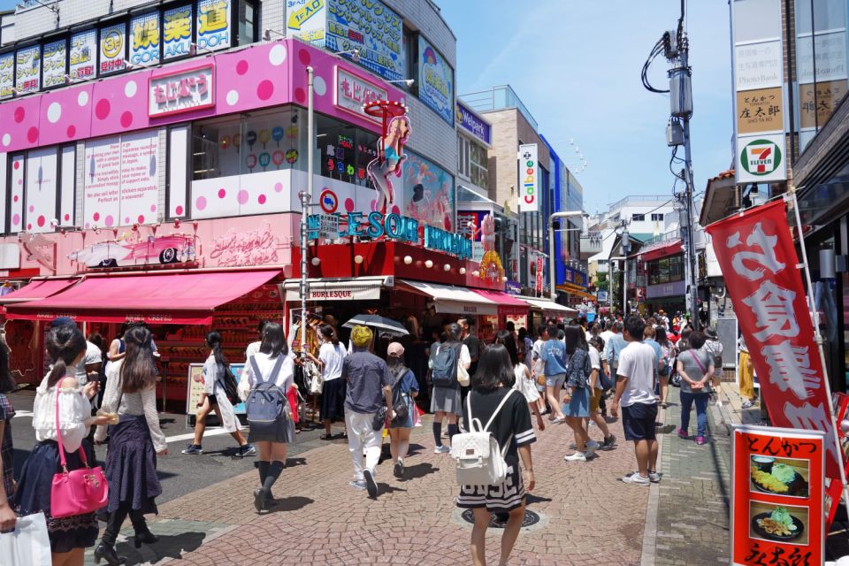 Harajuku: Kawaii Fashion and Pop-Culture Tour - Experience Highlights
